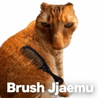 Brush Jjaemu is a small browser game that looks calm at first glance and then immediately proves that was a lie. You’re given one job: brush a cat named Jjaemu to earn points.