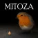 Mitoza /data/image/game/mitoza.jpg